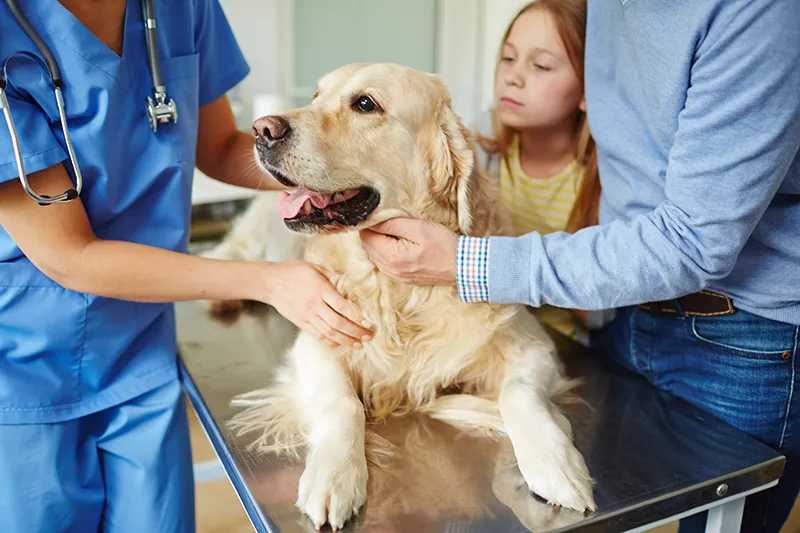 Our Care Team
