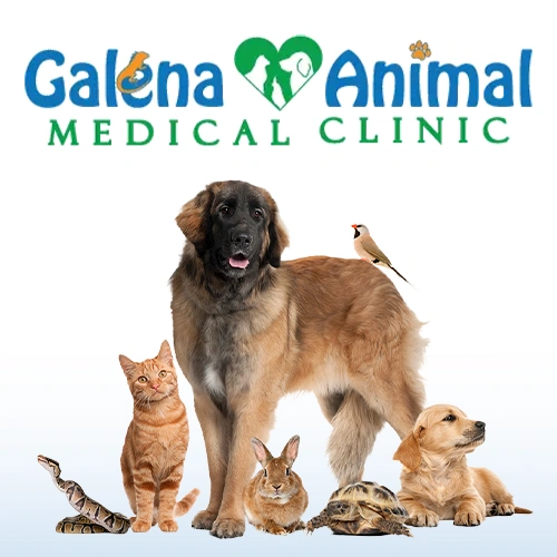 Galena Animal Medical Clinic logo